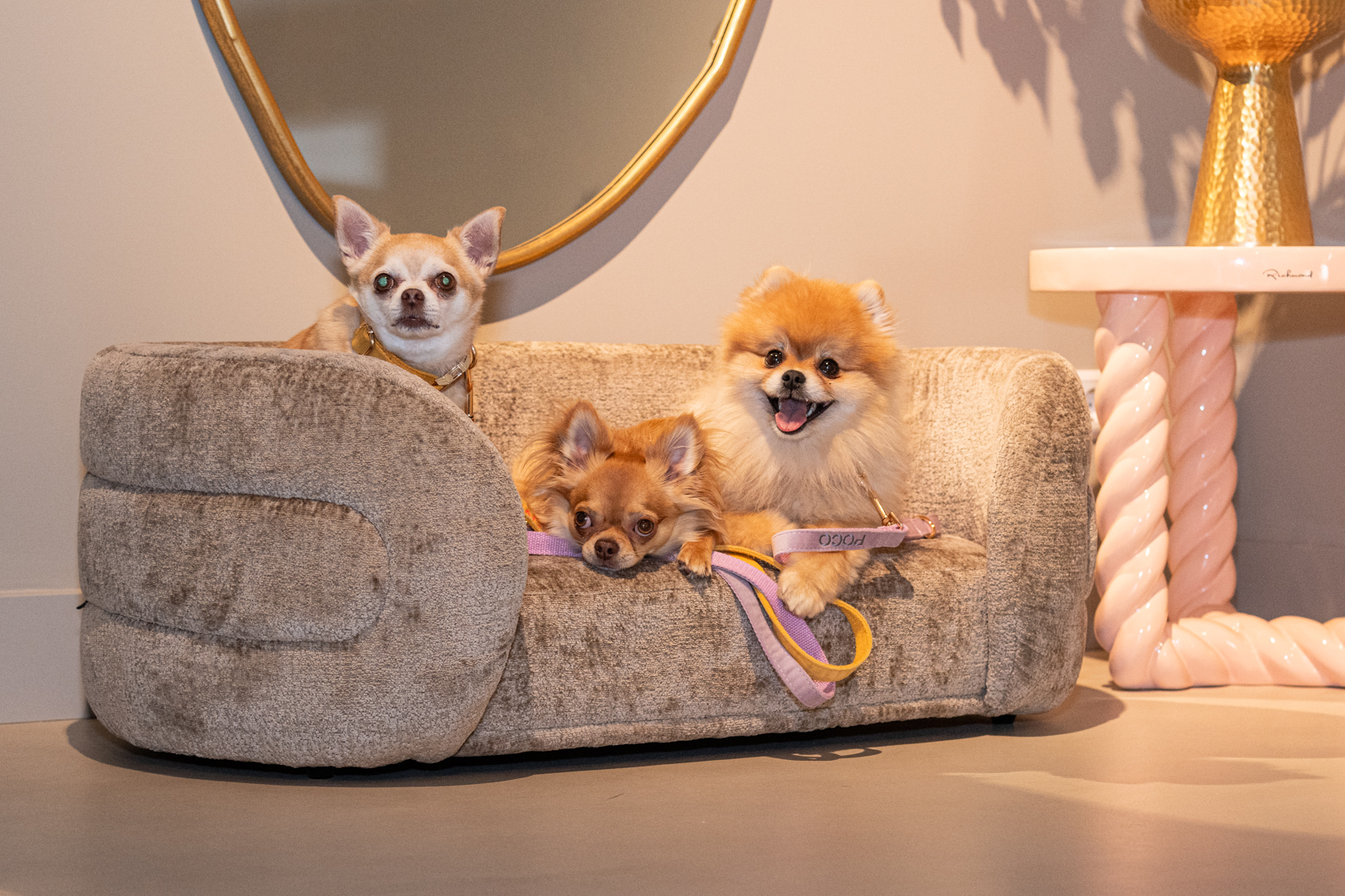 Legowiska dla zwierząt